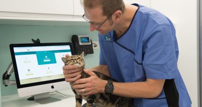 UK's first feline-only eye clinic set to launch in London